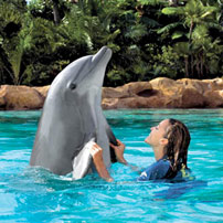 Discovery Cove